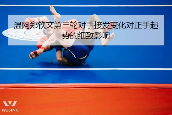 wen-wang-zheng-qin-wen-di-san-lun-dui-shou-jie-fa-bian-hua-dui-zheng-shou-qi-shi-de-xi-zhi-ying-xiang-2-845.jpg